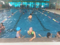 Quản lý và vận hành bơi Olympia Việt Hưng